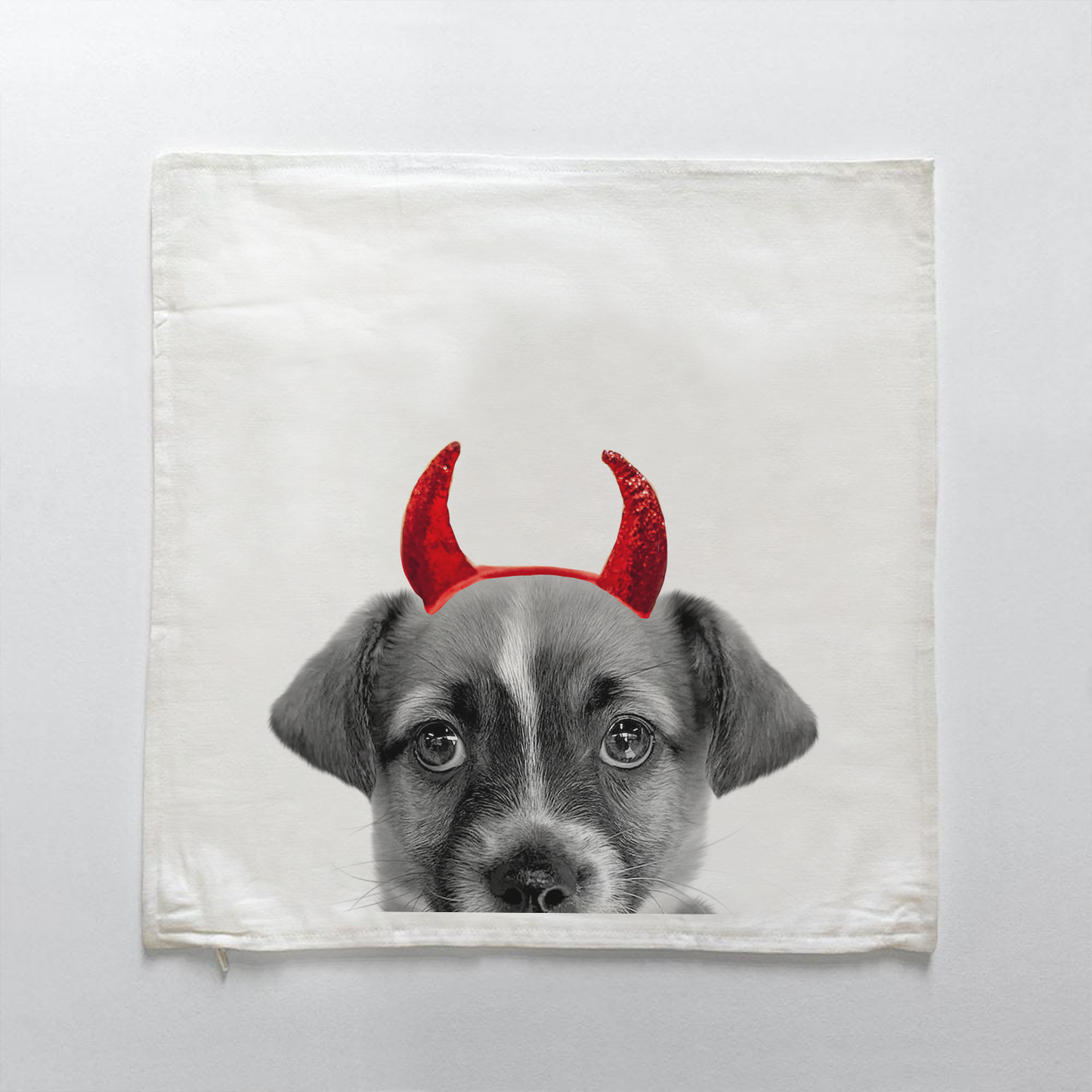 Terrier Puppy