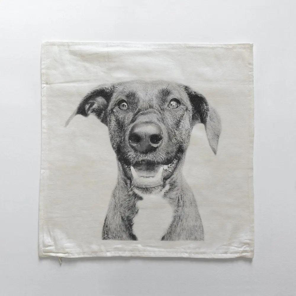 Throw Pillow Cover