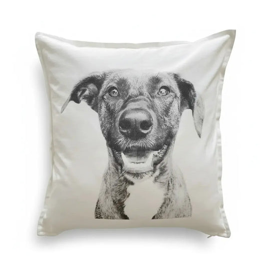 Throw Pillow Cover