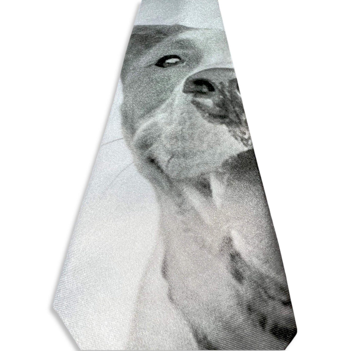 Neck Tie