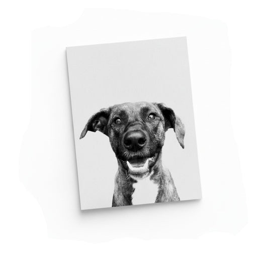 Pet Portrait - Unframed