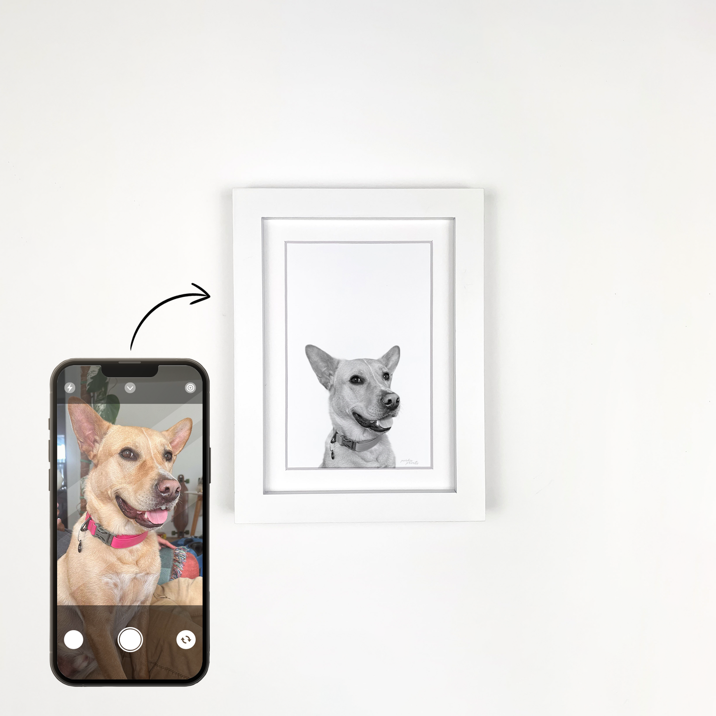 White Framed Perkie Print