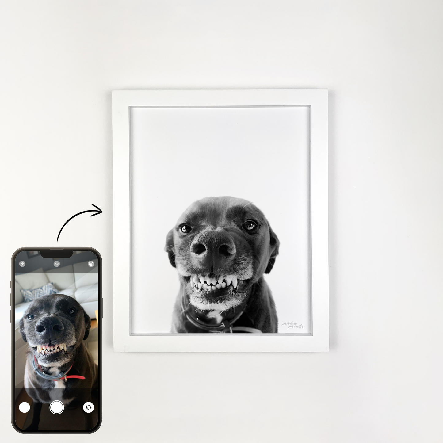 White Framed Perkie Print