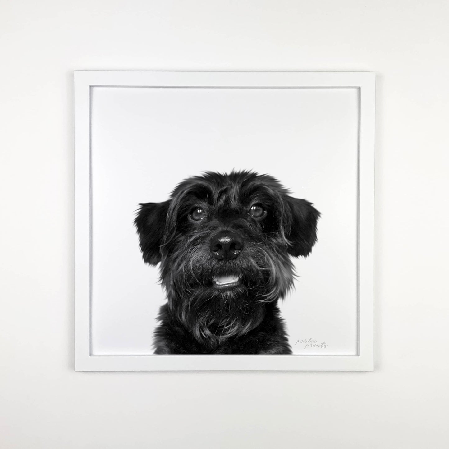 White Framed Perkie Print