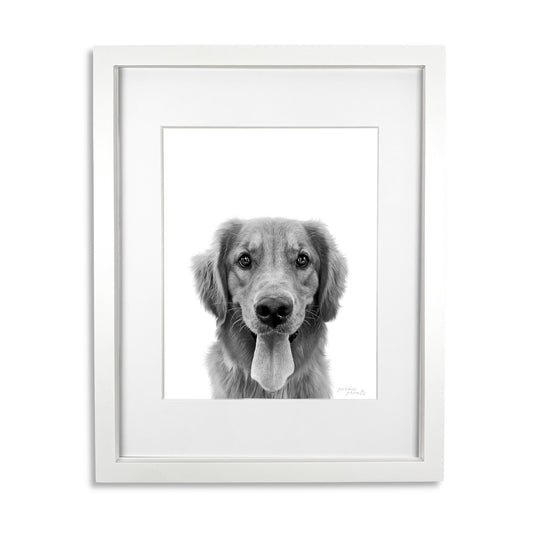 Pet Portrait in White Frame