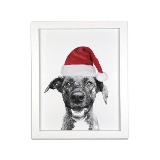 Holiday Pet Portrait in White Frame