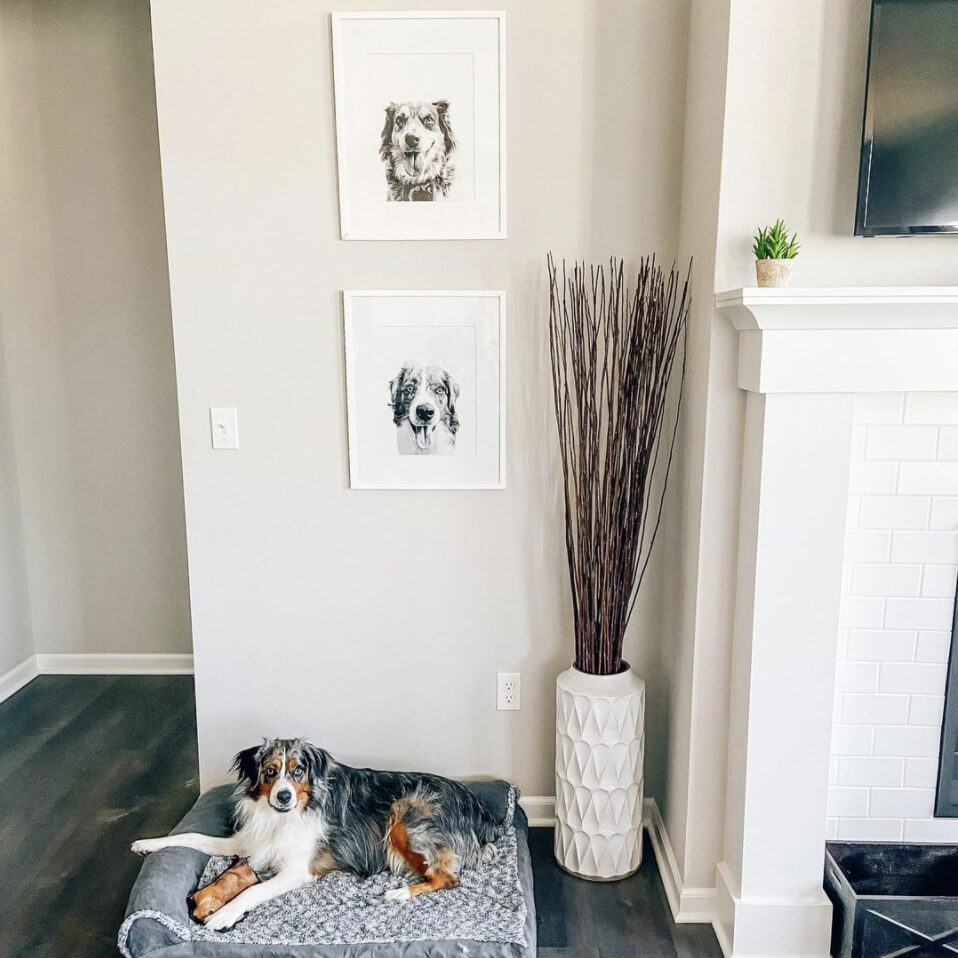 Pet Portrait in White Frame