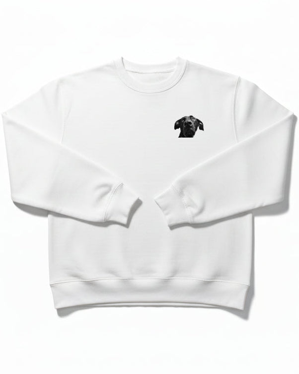 The Sweatshirt worn outdoors