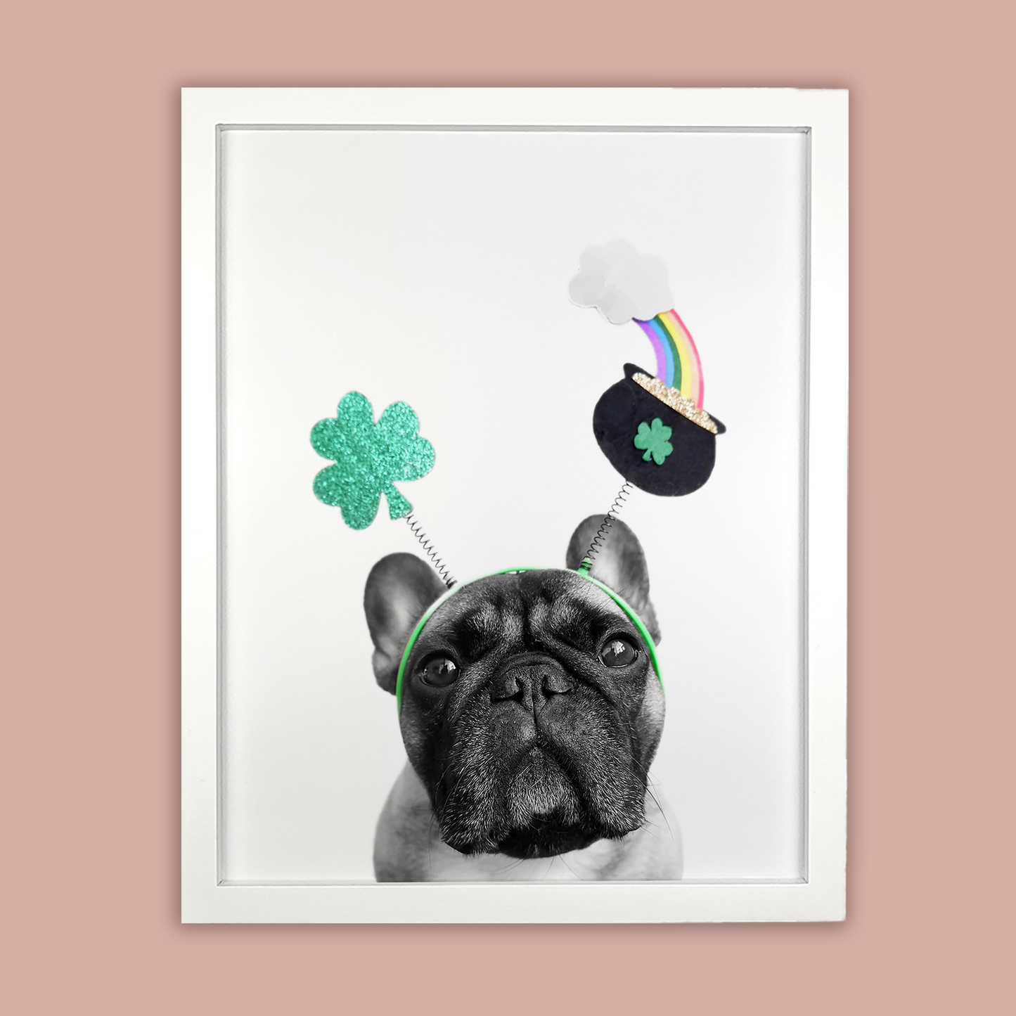 @archerthefrenchie.to White Framed Print