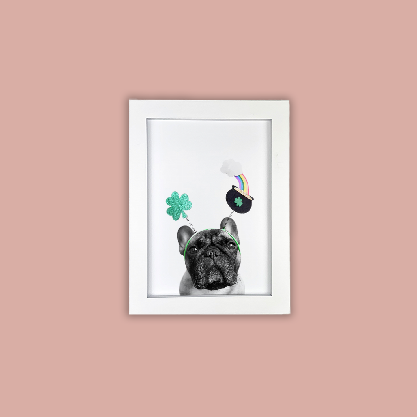@archerthefrenchie.to White Framed Print