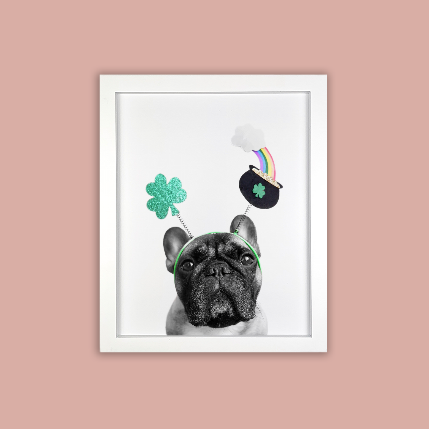 @archerthefrenchie.to White Framed Print