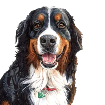 Otis in Marker