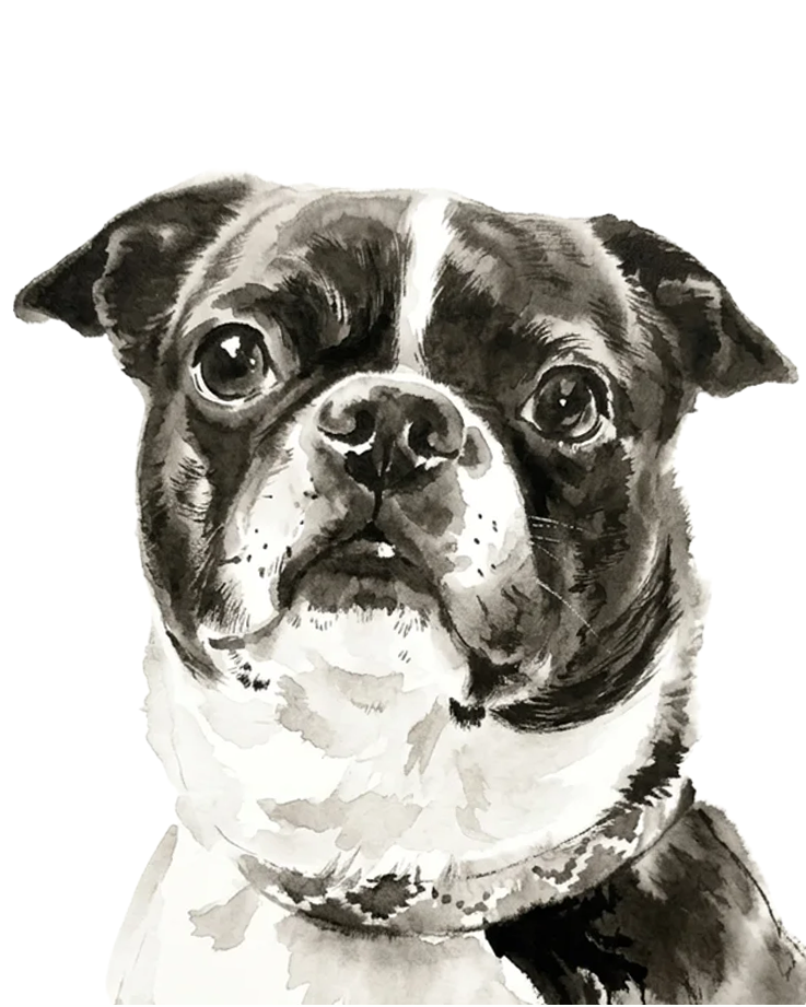 A finished Ink Wash Perkie Print