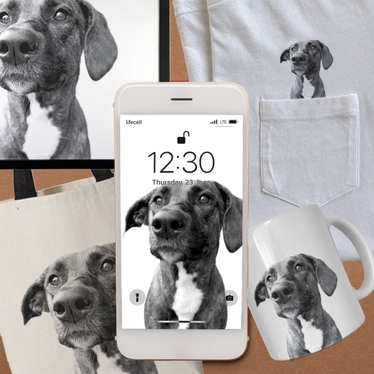 Existing Pet Artwork