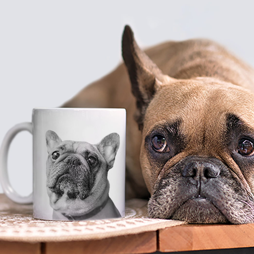 Personalized Pet Coffee Mug- Set of 2
