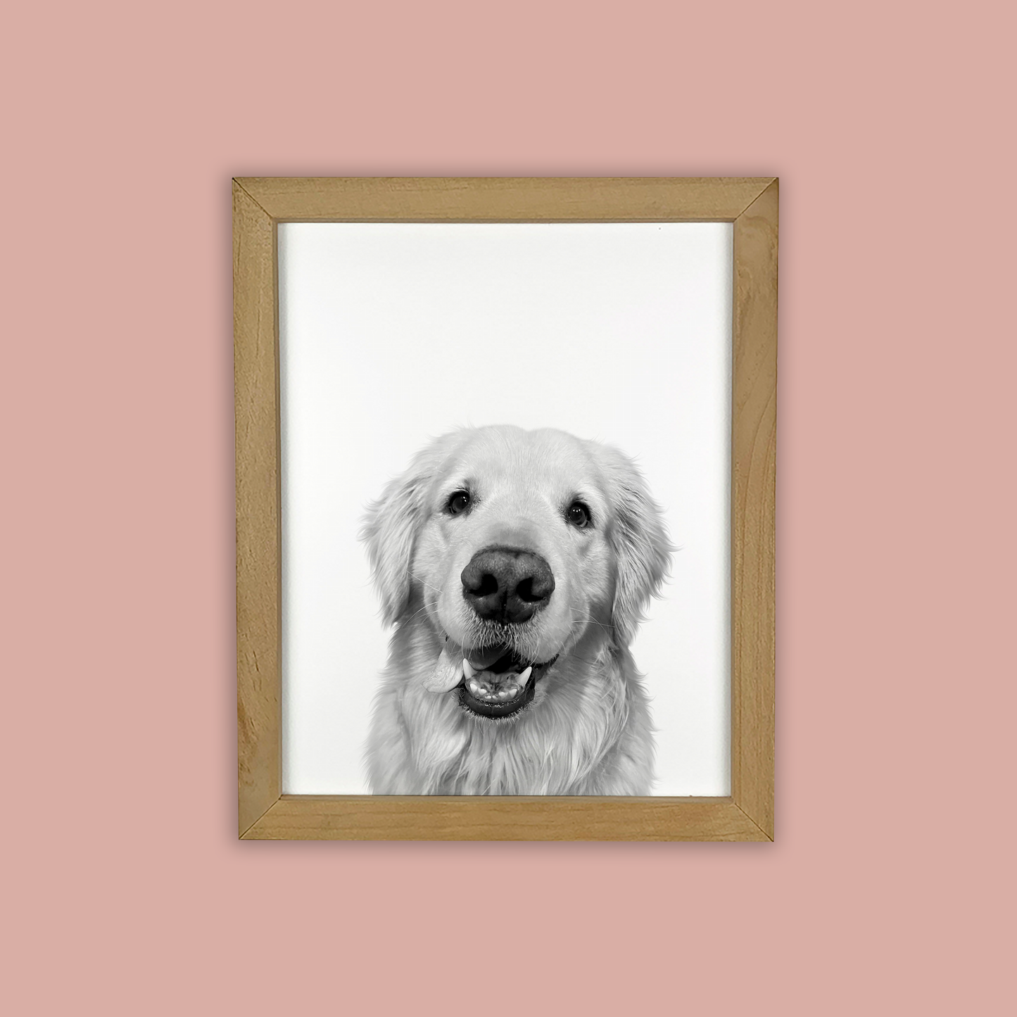 @Easton_the_golden - Natural Wood Framed Print