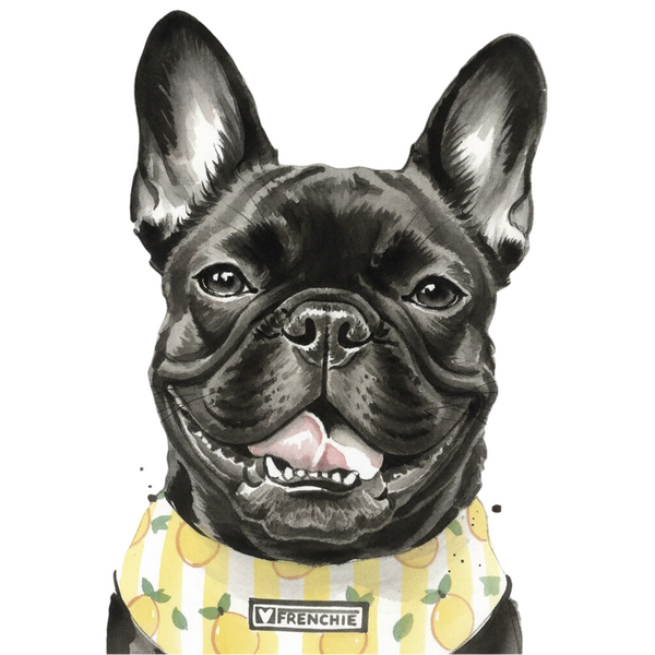 Ink Wash pet portrait style