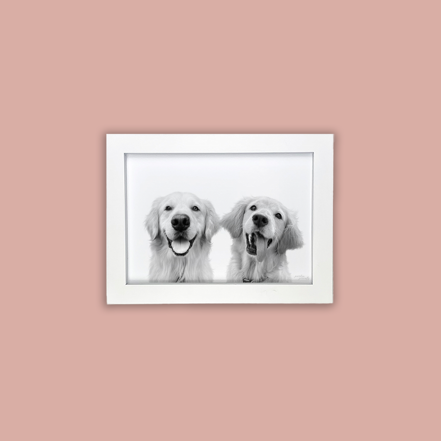 @Hangingwith_Henry - White Framed Print