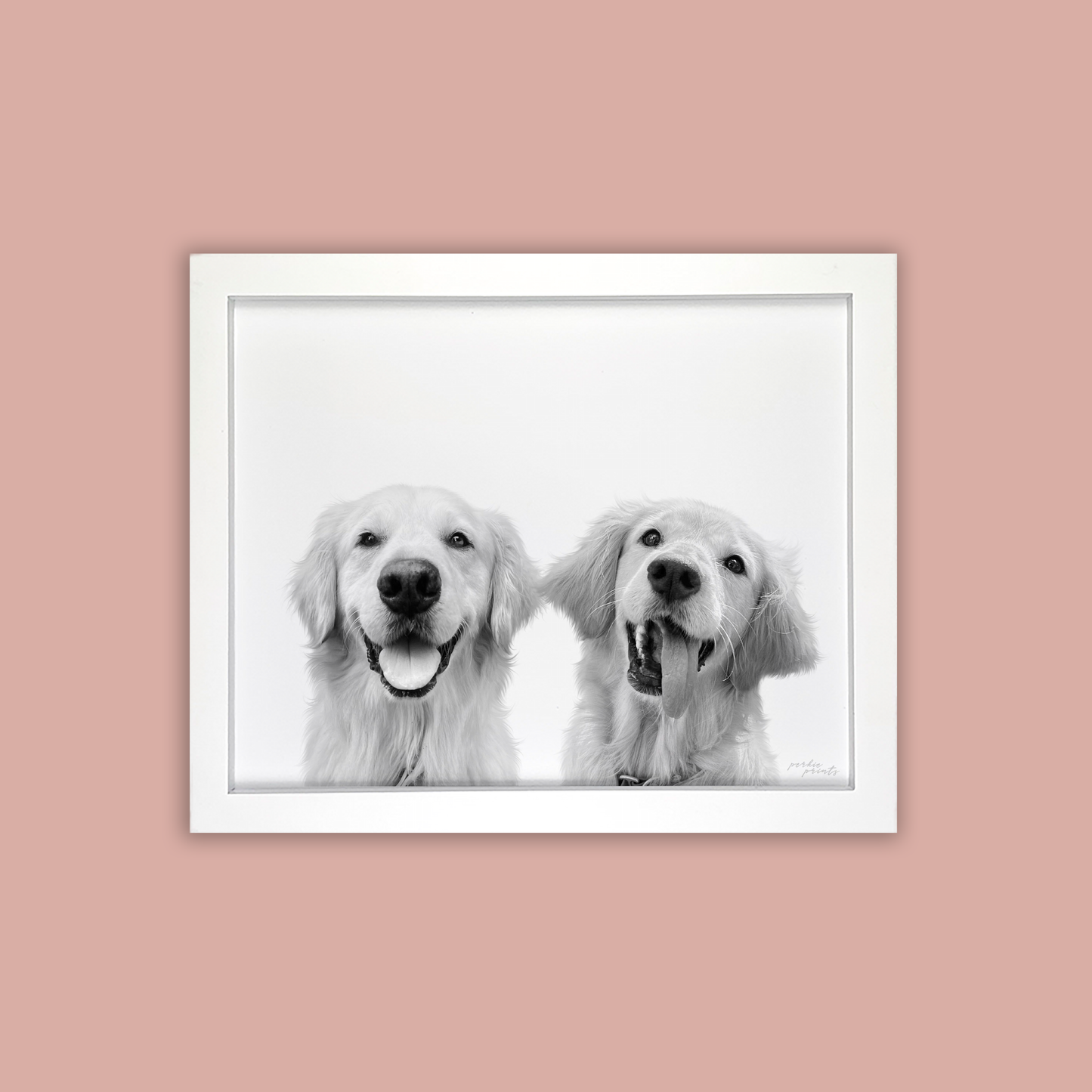 @Hangingwith_Henry - White Framed Print