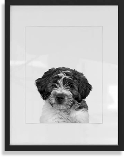 Personalized Pet Portrait in Black Frame