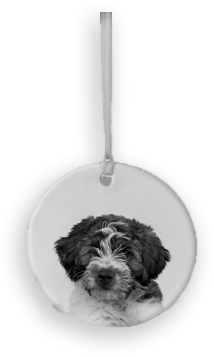 Personalized Pet Ceramic Holiday Ornament