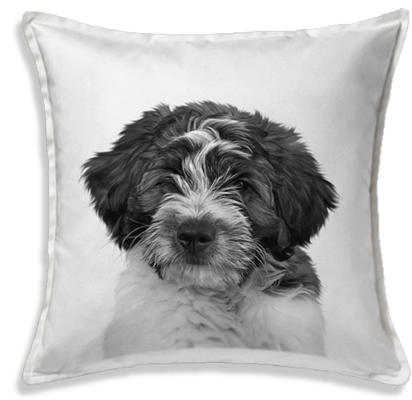 Personalized Pet Throw Pillow Cover