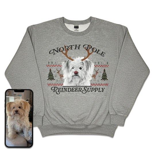 Not-So-Ugly Holiday Sweater