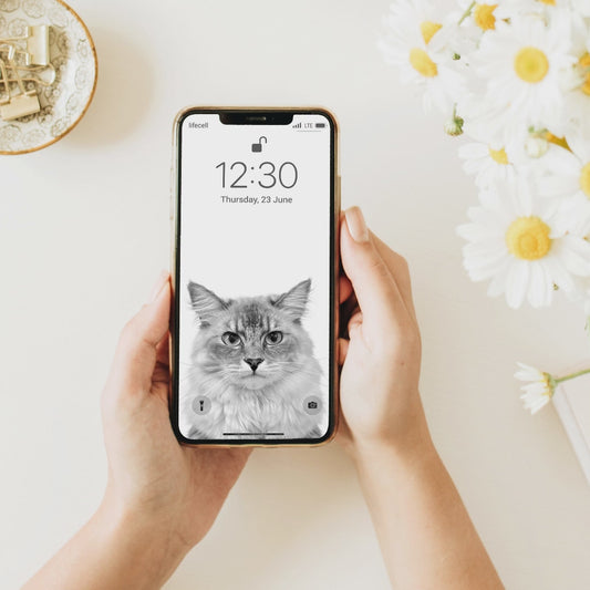 Existing Pet Artwork