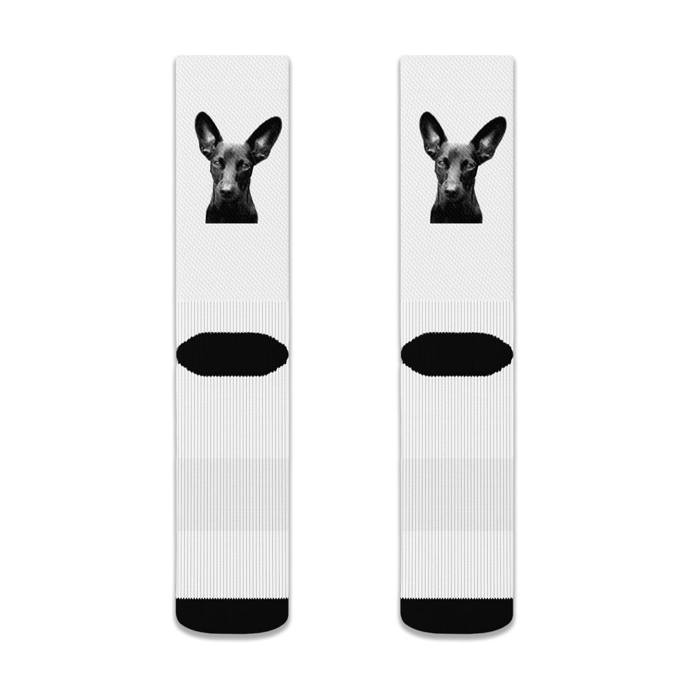 Pair of socks with a dog's face design on a white background