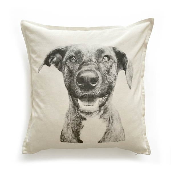 Throw Pillow Cover