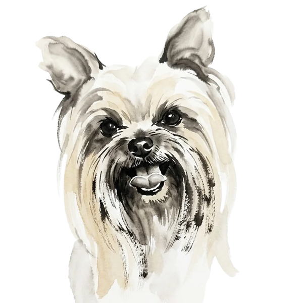 Gus — Ink Wash style
