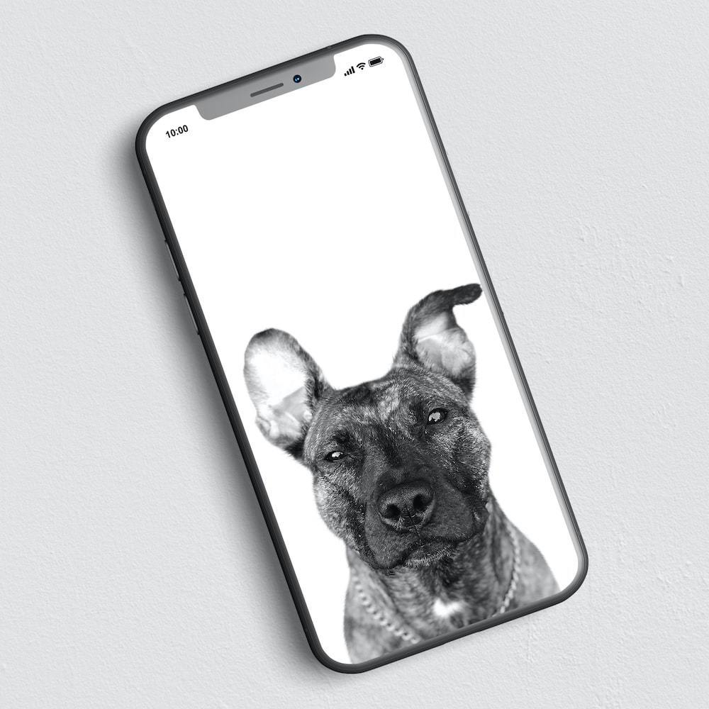 Digital File (Add-On Item) - Perkie Prints