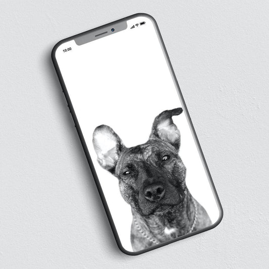 Digital File (Add-On Item) - Perkie Prints