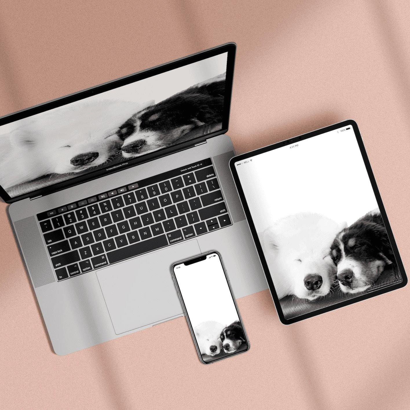 Digital File (Add-On Item) - Perkie Prints