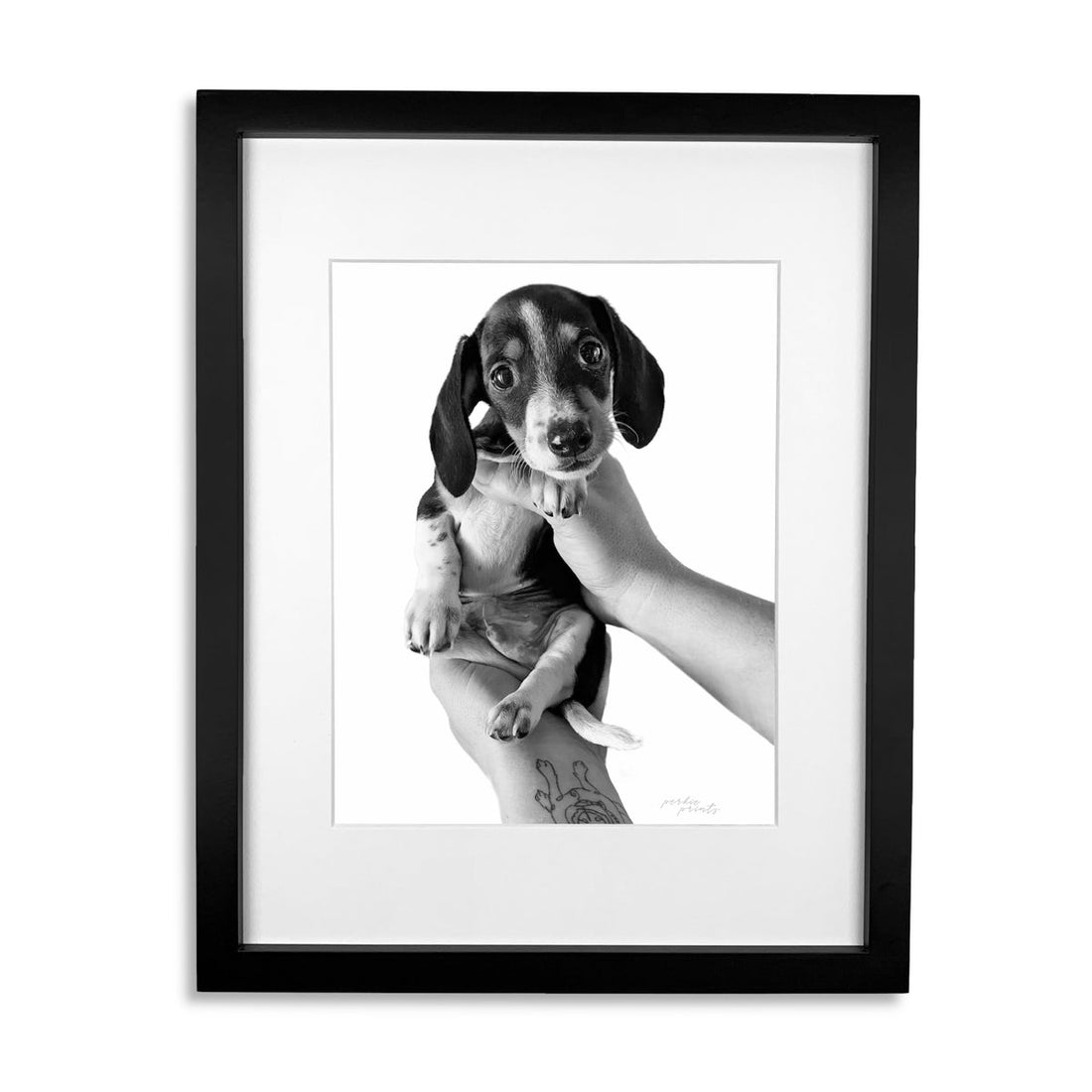 Framed custom pet memorial portrait