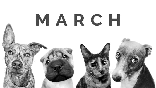 March Pet of the Month