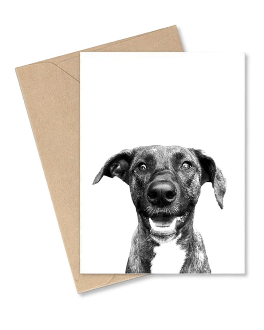 Greeting card with a black and white dog illustration on a white background, accompanied by a brown envelope.