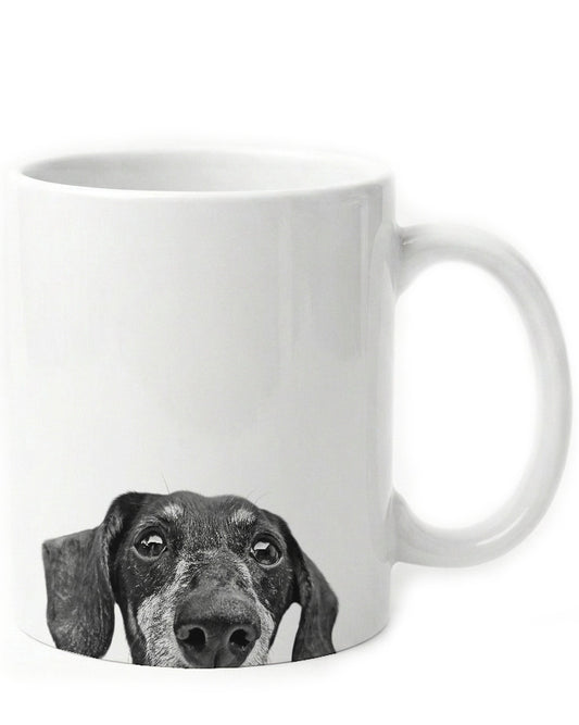 Dachshund 2