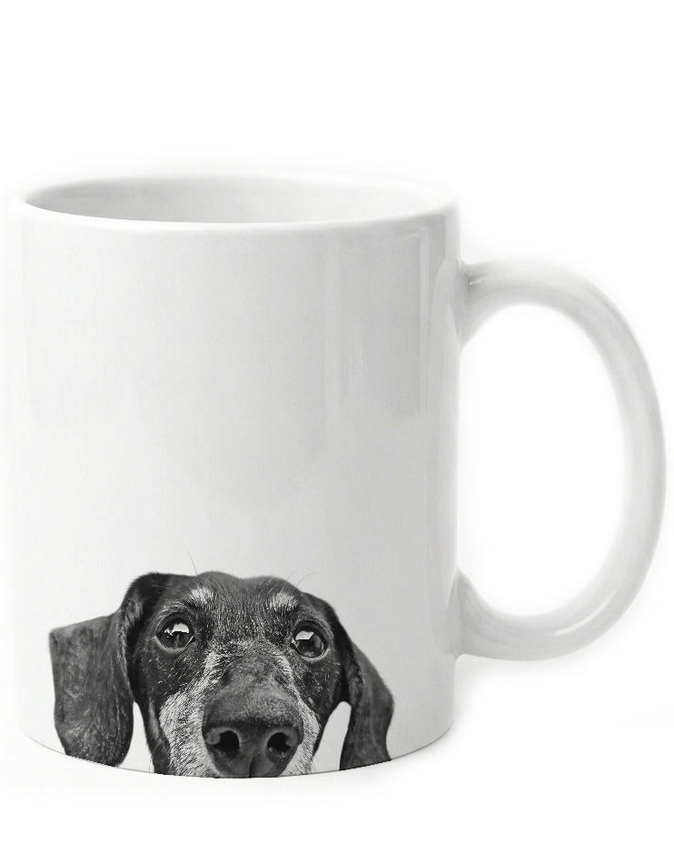 Dachshund 2
