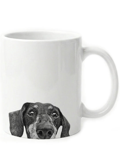 Dachshund 2