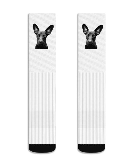 Two socks with a dog's face design on a white background