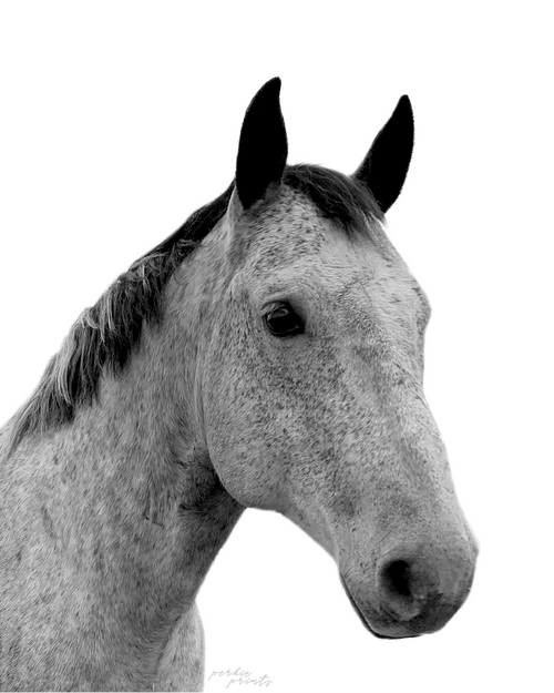 Black & White portrait