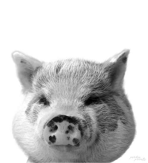 Black & White portrait