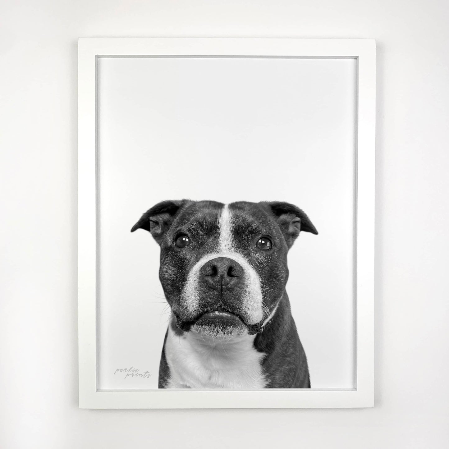 VIP White Framed Print