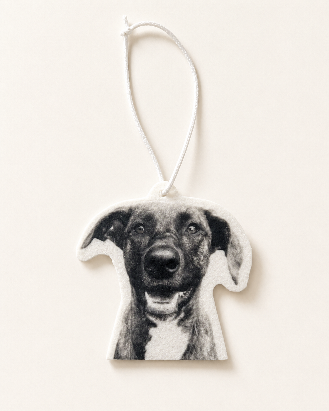 Air Freshener (Add-on)