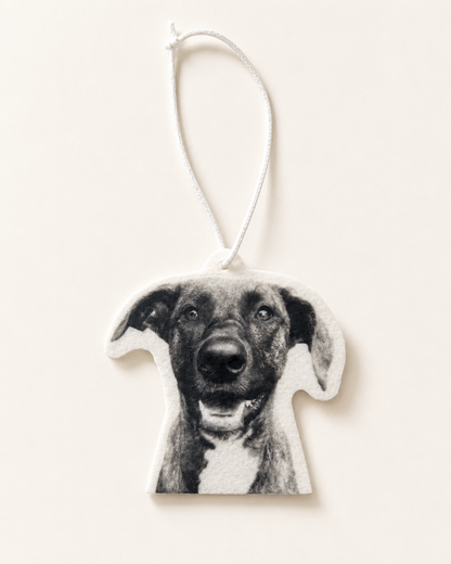 Air Freshener (Add-on)