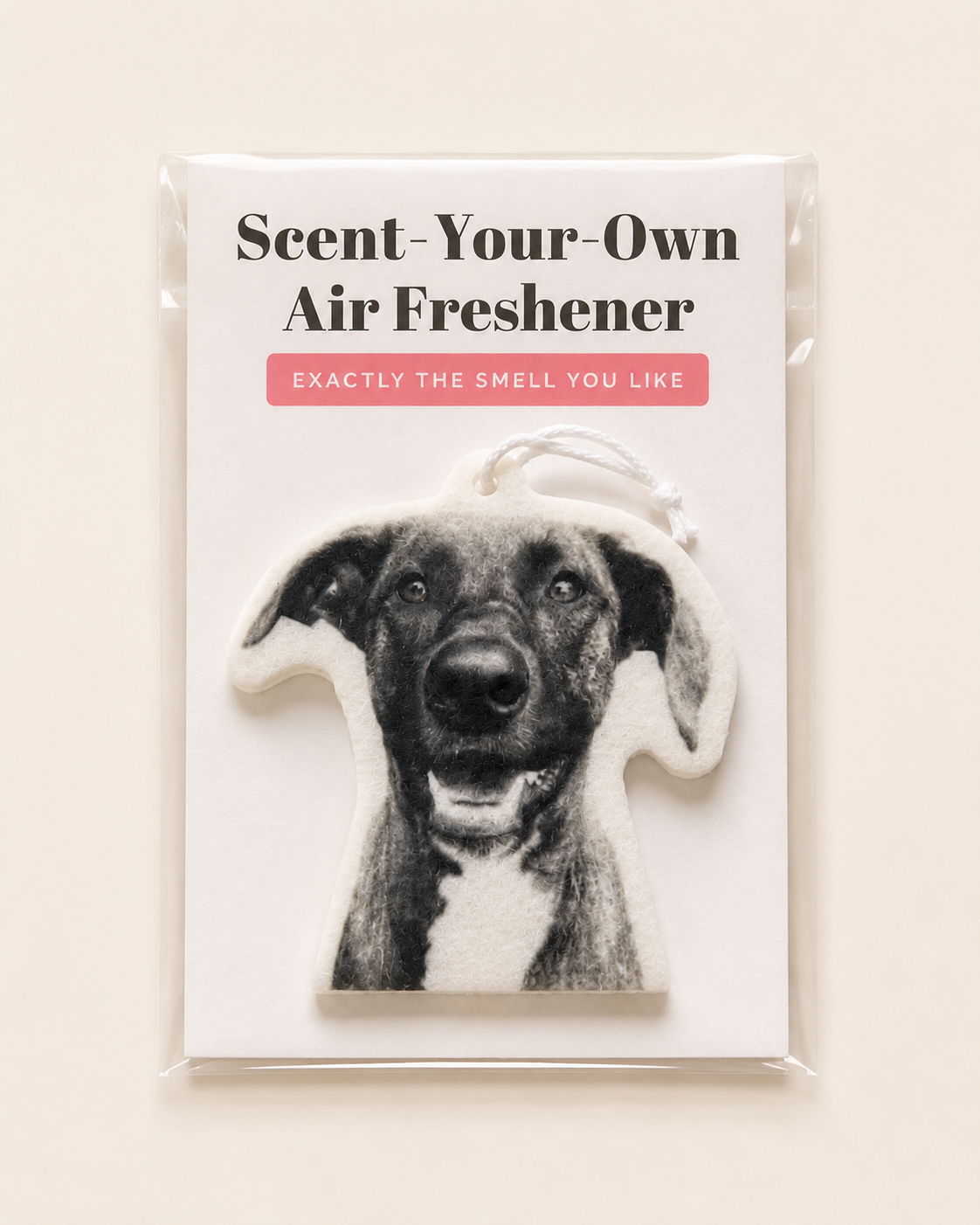 Air Freshener (Add-on)
