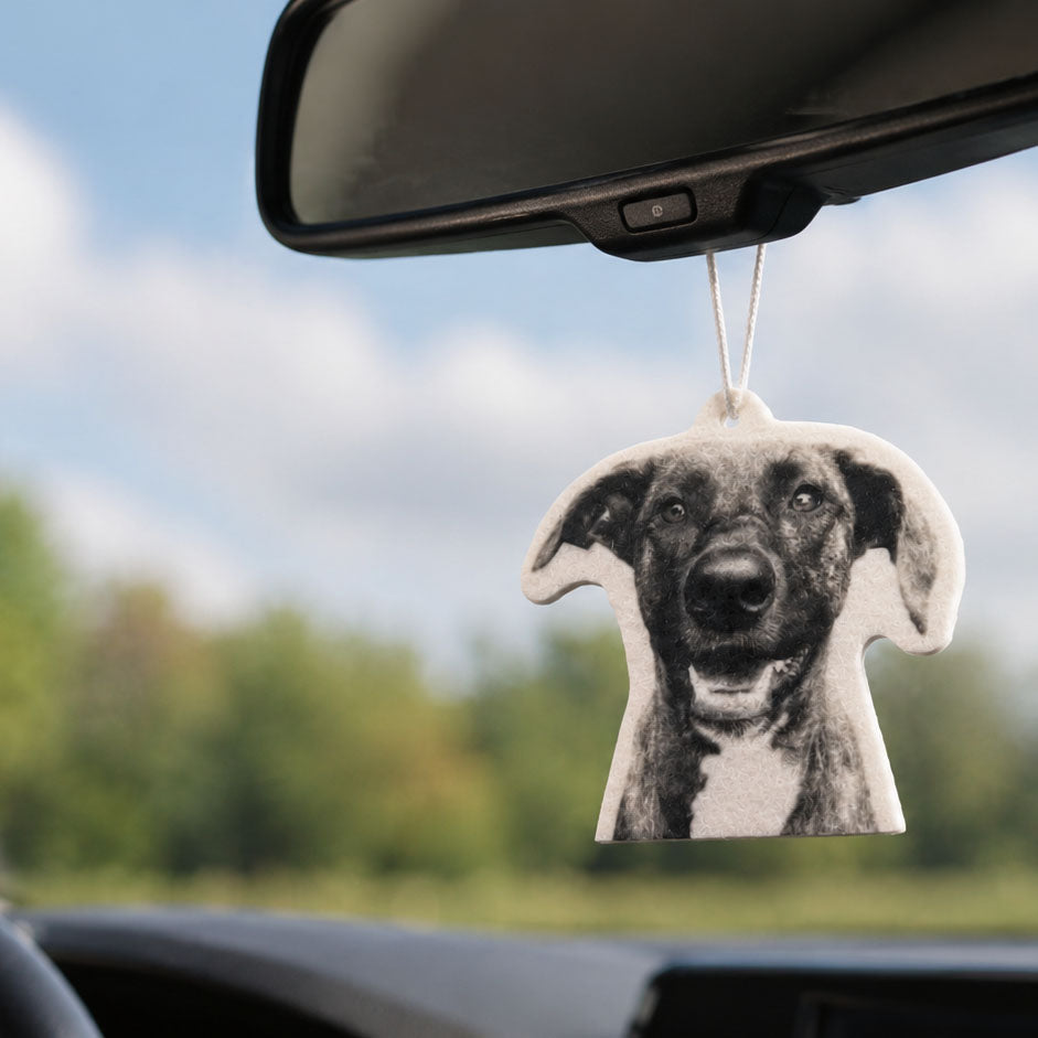 Air Freshener (Add-on)