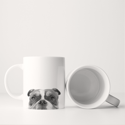 American Bulldog 2