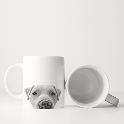 American Bulldog 1